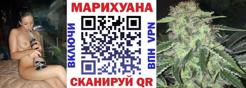 Купить закладки  Карачаевск  Конопля White Widow 